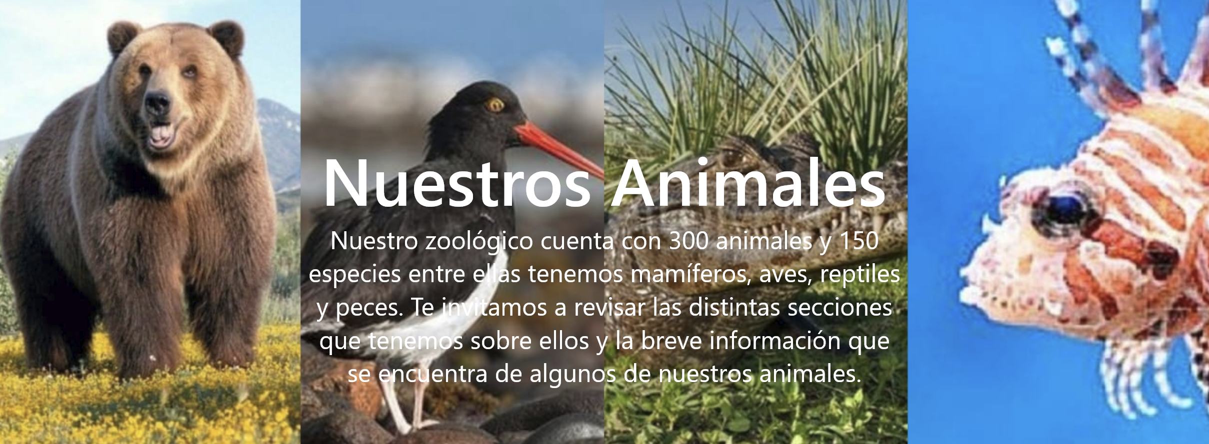 Nuestros Animales