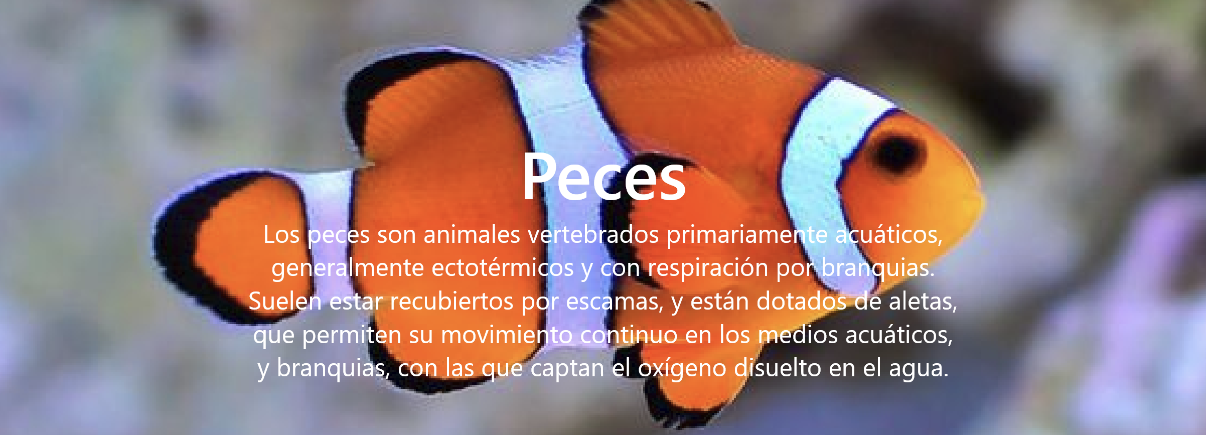 Peces